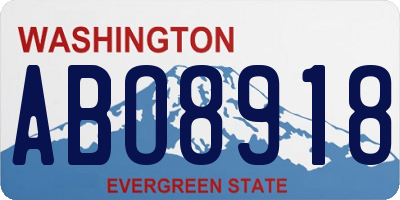 WA license plate ABO8918