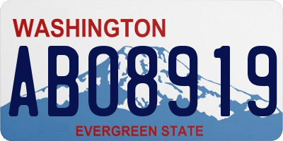 WA license plate ABO8919