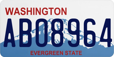 WA license plate ABO8964