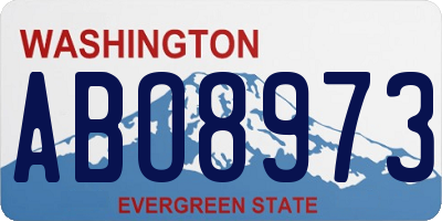 WA license plate ABO8973