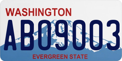 WA license plate ABO9003