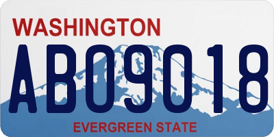 WA license plate ABO9018