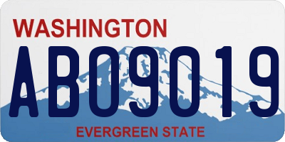 WA license plate ABO9019