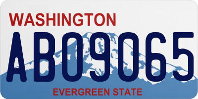 WA license plate ABO9065