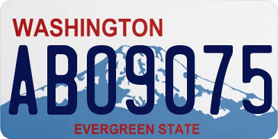 WA license plate ABO9075