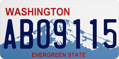 WA license plate ABO9115