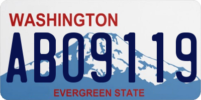 WA license plate ABO9119