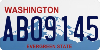 WA license plate ABO9145