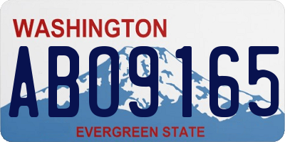 WA license plate ABO9165