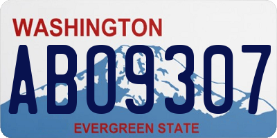 WA license plate ABO9307