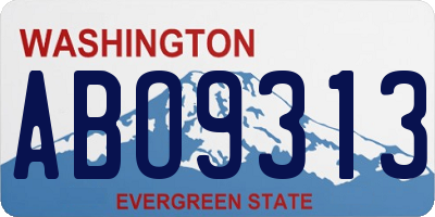 WA license plate ABO9313