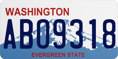 WA license plate ABO9318