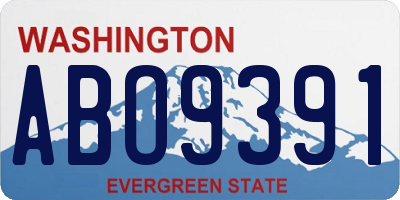 WA license plate ABO9391