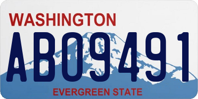 WA license plate ABO9491