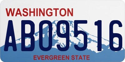 WA license plate ABO9516