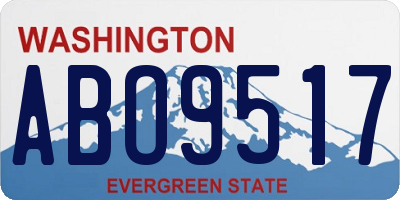 WA license plate ABO9517