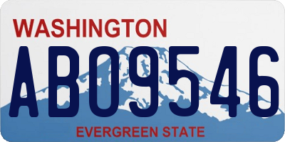 WA license plate ABO9546