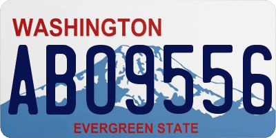 WA license plate ABO9556