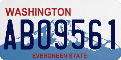 WA license plate ABO9561
