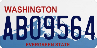 WA license plate ABO9564