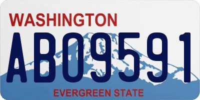 WA license plate ABO9591