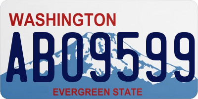 WA license plate ABO9599