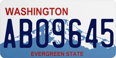 WA license plate ABO9645