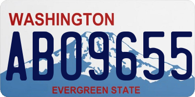 WA license plate ABO9655