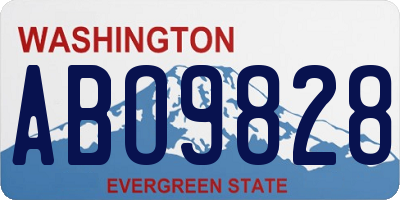 WA license plate ABO9828