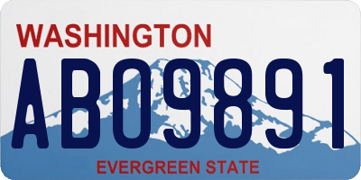 WA license plate ABO9891