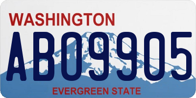 WA license plate ABO9905