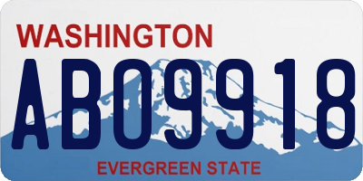 WA license plate ABO9918