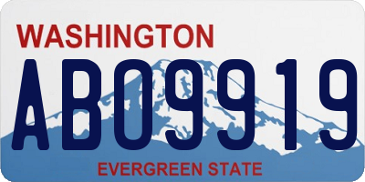 WA license plate ABO9919