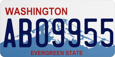 WA license plate ABO9955