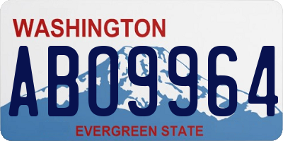 WA license plate ABO9964