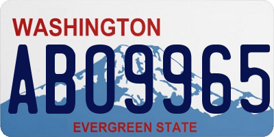 WA license plate ABO9965