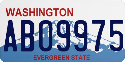 WA license plate ABO9975