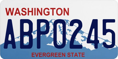 WA license plate ABP0245