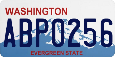 WA license plate ABP0256