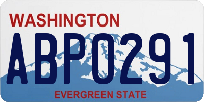 WA license plate ABP0291