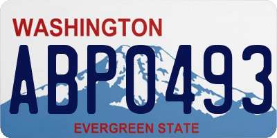 WA license plate ABP0493