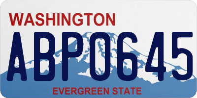 WA license plate ABP0645