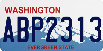 WA license plate ABP2313