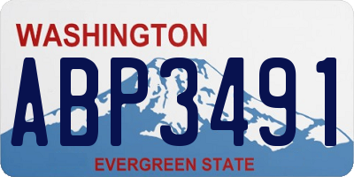 WA license plate ABP3491