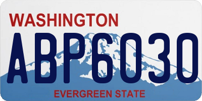 WA license plate ABP6030