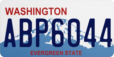 WA license plate ABP6044