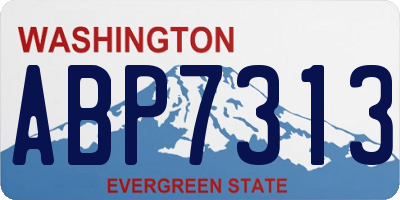 WA license plate ABP7313