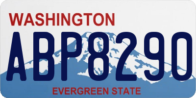 WA license plate ABP8290