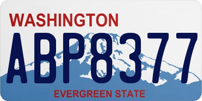 WA license plate ABP8377