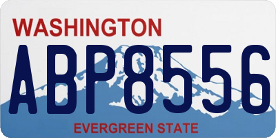 WA license plate ABP8556